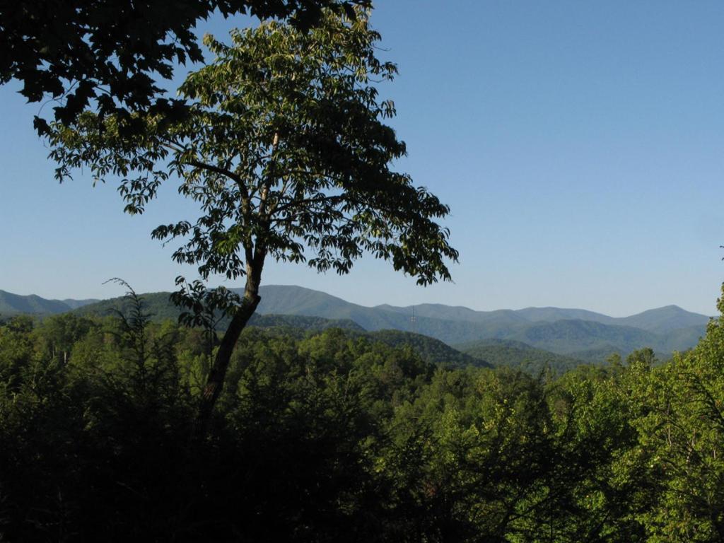 Cubs Cove Villa Gatlinburg Eksteriør bilde