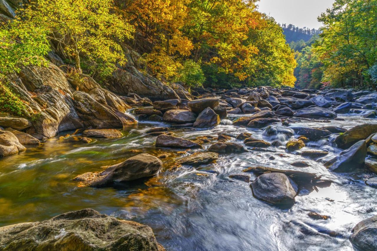Cubs Cove Villa Gatlinburg Eksteriør bilde